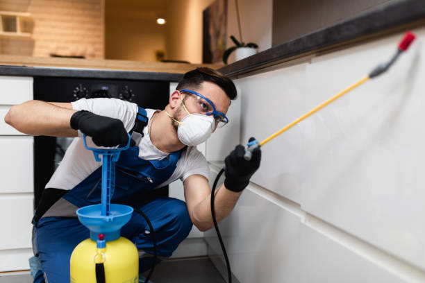 Professional Pest Control in North Shore, CA