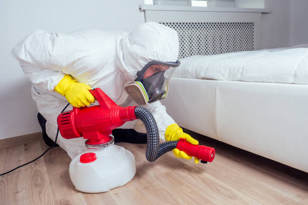 Best Pest Control for Businesses  in North Shore, CA