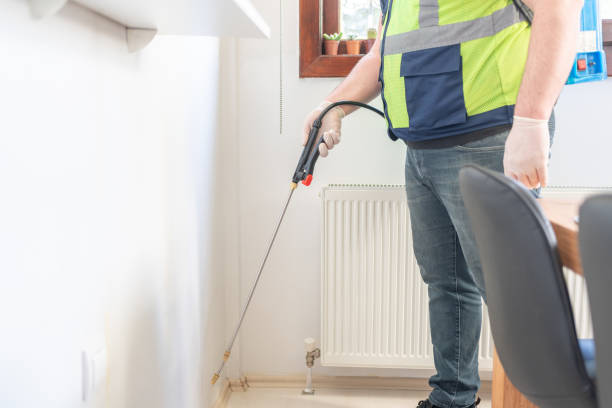 Best Flea Control Services  in North Shore, CA