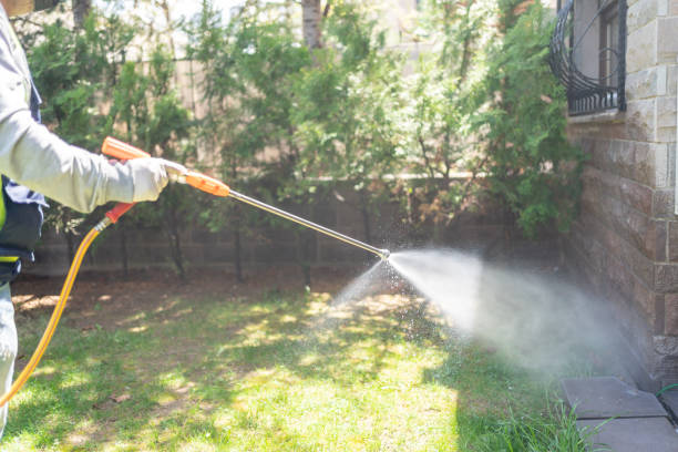 Best Best Pest Control Companies  in North Shore, CA