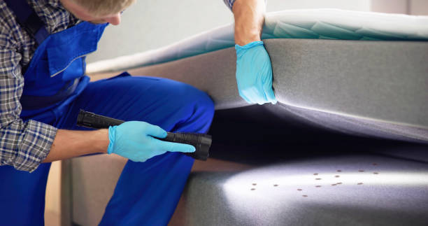 Best Pest Inspection Near Me  in North Shore, CA