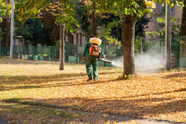 Best Rat Extermination Near Me  in North Shore, CA