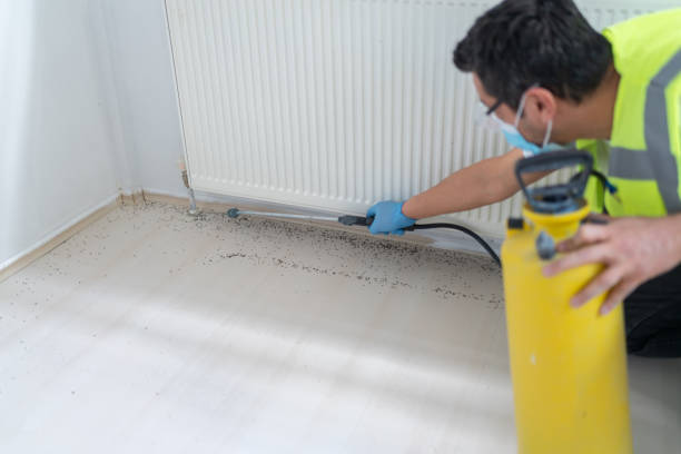 Best Commercial Pest Control Services  in North Shore, CA