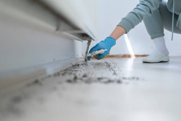 Best Best Pest Control Companies  in North Shore, CA